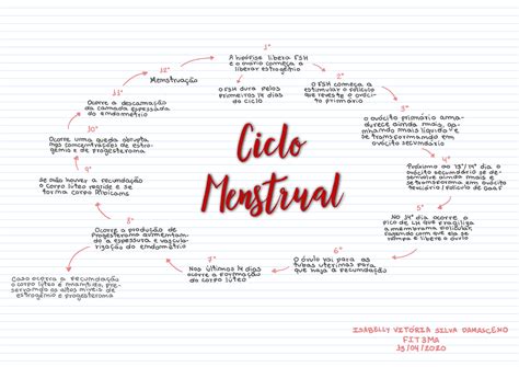 Ciclo Menstrual Mapa Mental