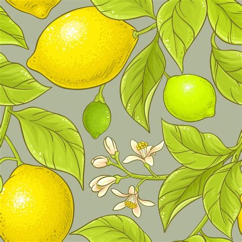 Premium Vector Lemon Vector Pattern