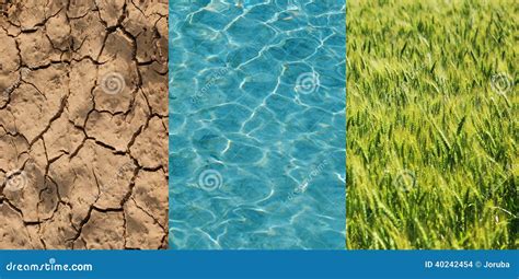 Dry Field Green Wheat And Water Stock Photo Image Of Ecology Crop