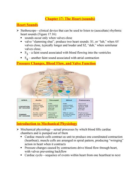 Chapter 17 The Heart Sounds Chapter 17 The Heart Sounds Heart