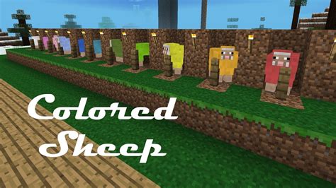 Minecraft Sheep Colors