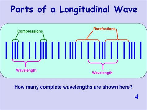 Longitudinal Wave Parts Diagram