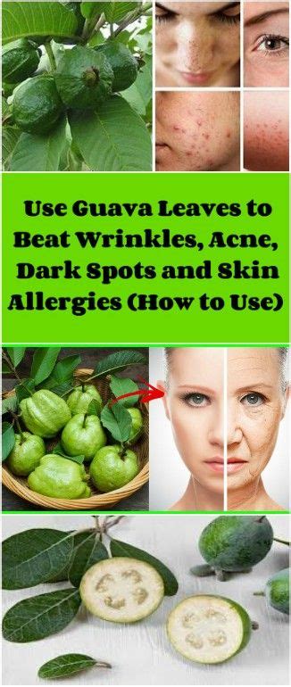 Guava Leaves For Skin - Reciplaza