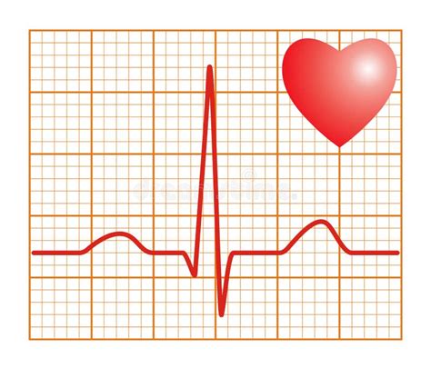 Heartbeat Normal Ecg Graph Stock Illustration Illustration Of Muscular