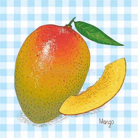 Ripe Mango With Leaf Stock Illustration Illustration Of Fruit 105015351