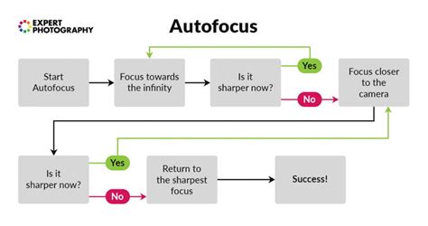 Camera Lens Guide Parts Functions And Types Explained Expertphotography