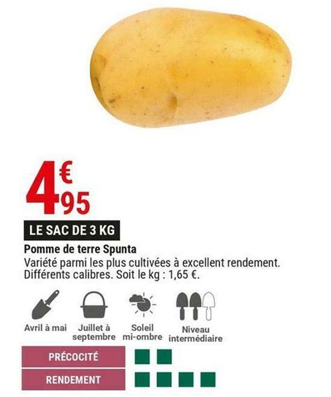 Promo Pomme De Terre Spunta Chez Gamm Vert