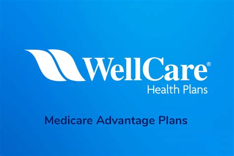 Wellcare Medicaid Benefits 2025 Crissy Rafaelita