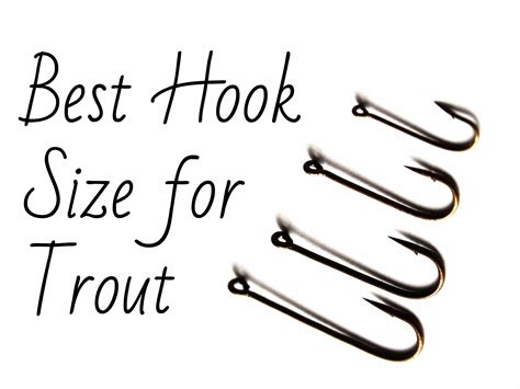 Fishing Hook Sizes For Trout - xzfishing