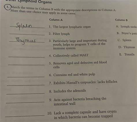 Solved Match The Terms In Column B With The Appropriate Chegg