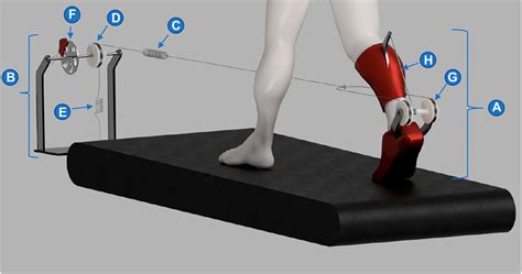 Frontiers Harnessing Energy Of A Treadmill For Push Off Assistance