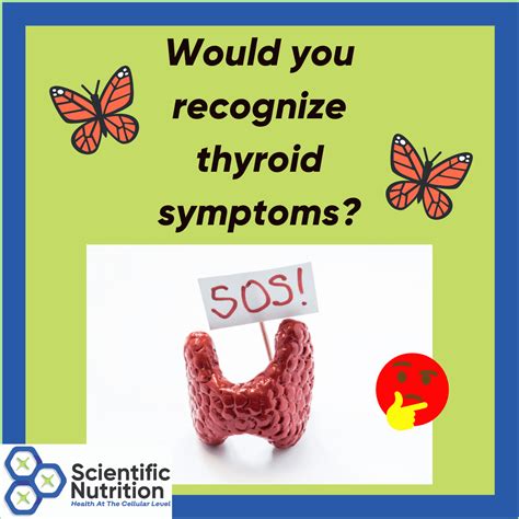 What does the thyroid do and what are possible thyroid symptoms ...