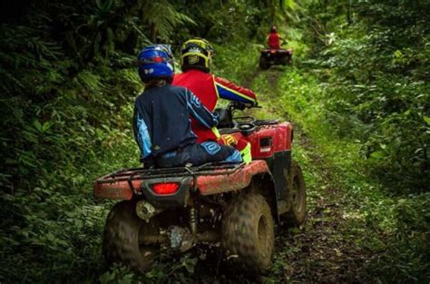 Honda Fourtrax Specs Top Speed Price Weight Review