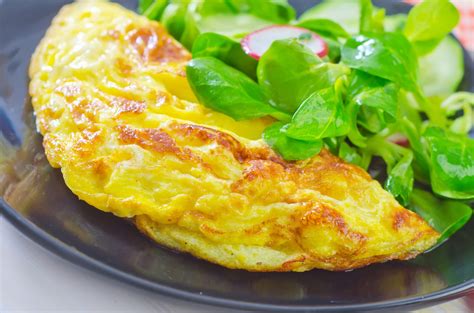 Kitchen Isnt Complete Without Any Of These 10 Best Omelet Makers Pro