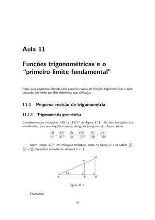 Calculo1 Aula11 PDF