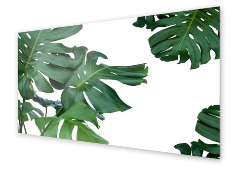 Panel Kuchenny Homeprint Zielone Li Cie Monstera X Cm Homeprint