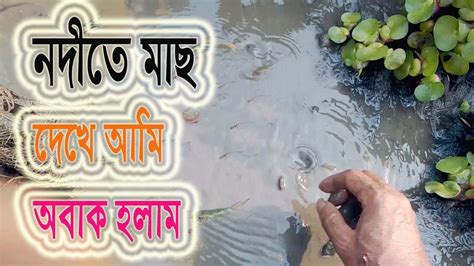 নদীর অল্প কিছু জায়গা থেকে অনেক ট্যাংরা ও পুটি মাছ ধরা দেখলাম Youtube