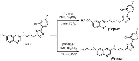 Radiosynthesis Of 11c Ma2 And 18f Ma3 Download Scientific Diagram