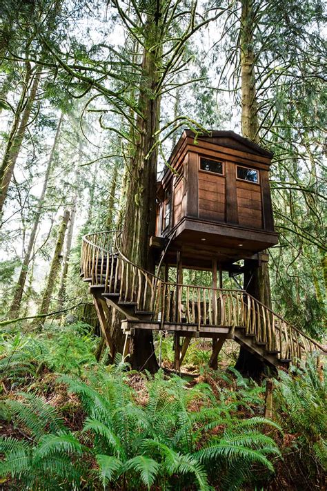 Washington Gallery: Treehouse Point in Fall City - 1889 Magazine