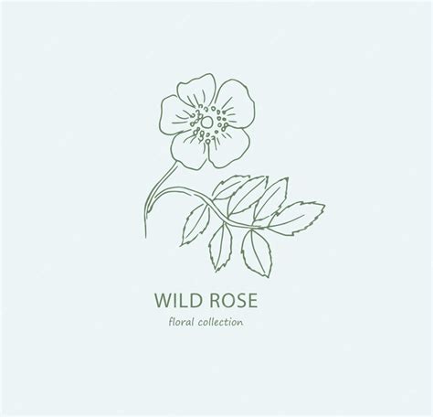 Premium Vector Wild Rose Flower Logo Line Art Logo Rose Illustration