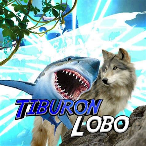 Tiburon Lobo Tiburon Youtube