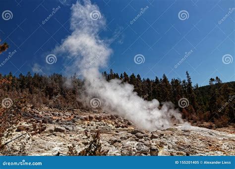 Steamboat Geyser In The Norris Basin In The Yellowstone National Park