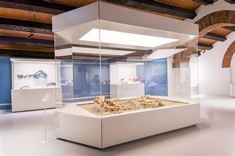 Verona Inaugurata L Intera Sezione Preistorica Del Museo Archeologico