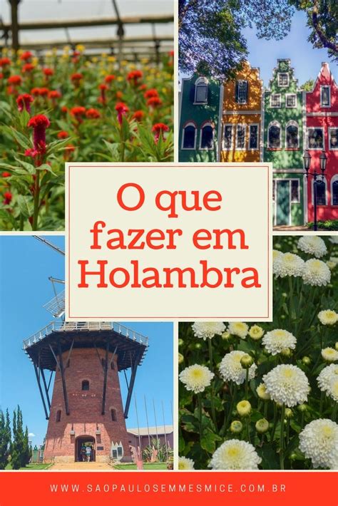 O Que Fazer Em Holambra Guia Completo Da Cidade Das Flores South