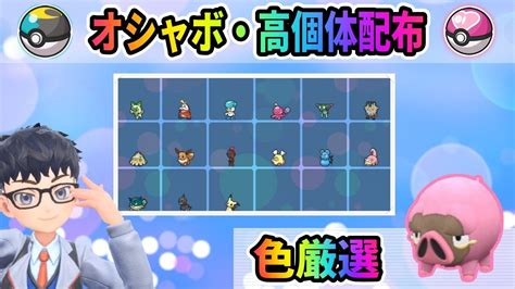 【新ポケ色違い77107種】大量発生でパピモッチ色違い厳選→白イキリンコ→みつふしノココッチ合間にオシャボ・高個体ポケモン配布