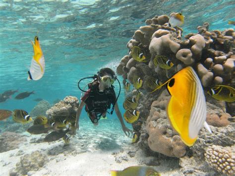 Get Diver Certified In Cook Islands Cook Islands Vibe