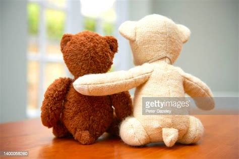 66 Two Teddy Bears Hugging Stock Photos High Res Pictures And Images