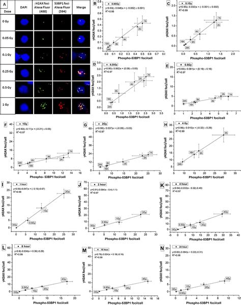 Frontiers Establishment Of In Vitro Calibration Curve For Co Rays