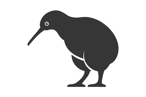 Kiwi Bird Icon Icons Creative Market