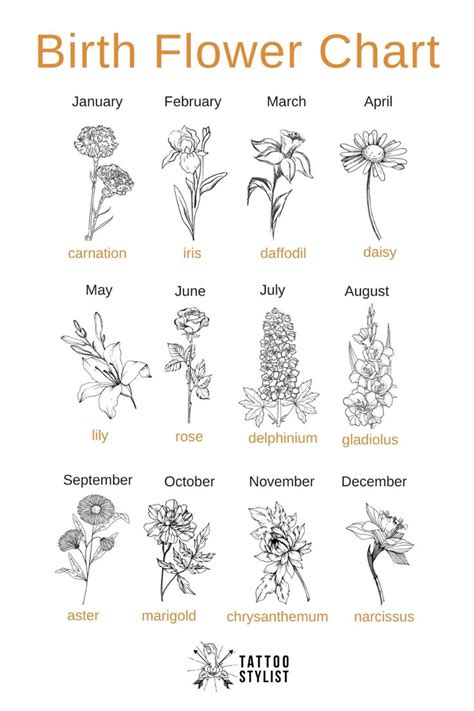 Birth Flower Chart Infographic Birth Flowers Flower Chart Birth Flower Tattoos