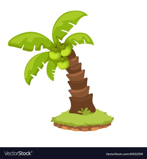 Coconut Palm Tree Isolated On White Background Vector Image