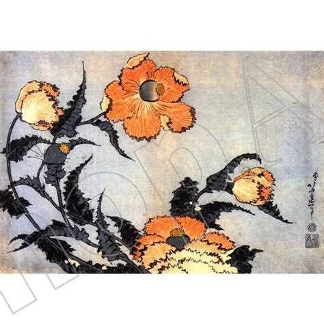 Hokusai Papaveri Quadro Stampa Su Tela Poster Tavola