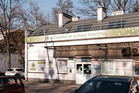 Podkarpacka Klinika Konopna Poradnia Leczenia Bólu Mielec Kliniki pl