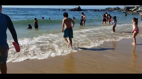 Medusas En Playa Torpederas Valparaiso YouTube