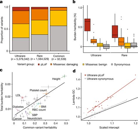 Burden Heritability Of Complex Traits And Common Diseases In Uk