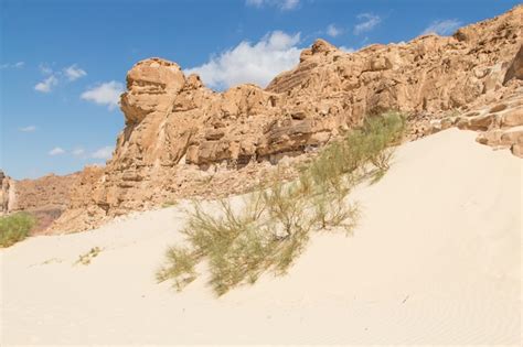 Premium Photo White Canyon With Yellow Rocks Egypt Desert The Sinai Peninsula Dahab