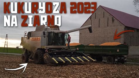 Kukurydza na Ziarno 2023 Claas Lexion 450 Fendt 824 Dzień i Noc