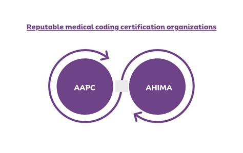 Mastering Healthcare Coding Certification Guide