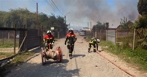 Más De 11000 Hectáreas Han Sido Afectadas Por Incendios Forestales Y