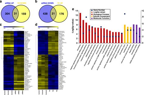 Clustering And Go Enrichment Analysis Of The Significant Differentially