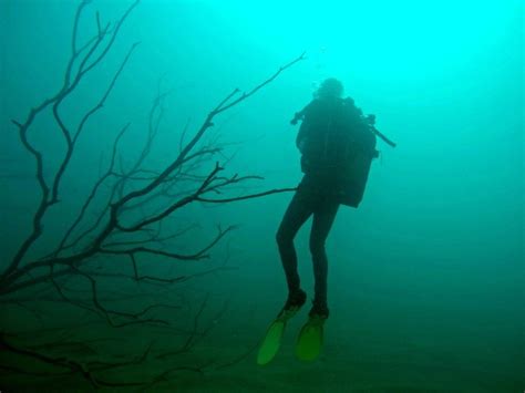 Scuba Diving Lake Malawi In 34 Underwater Photos