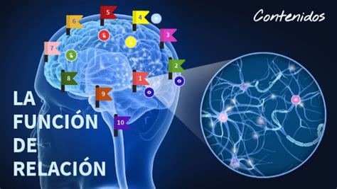 La Función De Relación