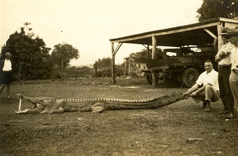 FROM the VAULT: Crocodile Attack, 1932 - Museum