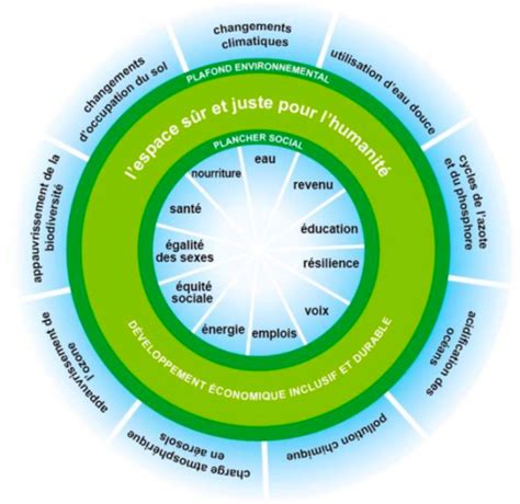 L ÉCONOMIE RÉGÉNÉRATIVE Infuse Conseil