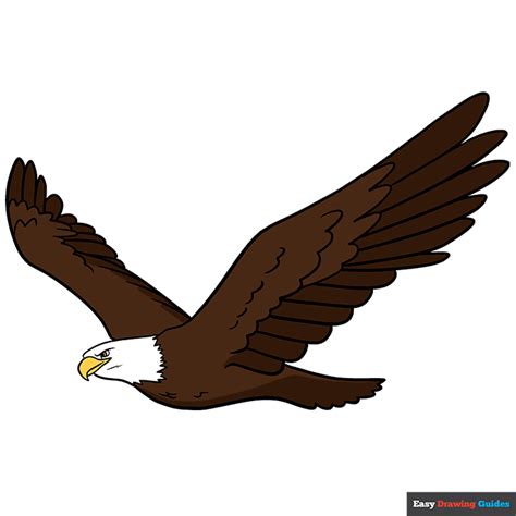 How To Draw A Eagle