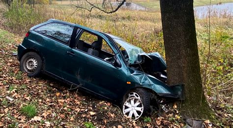 Zatrzyma Si Na Drzewie Latek Mig Owcem Przetransportowany Do